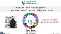 Short Talk: Wobble tRNA Modification and Translation Reprogramming in the Tumour Microenvironment during Breast Cancer Development icon
