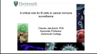 Rediscovering the Role of B Cells in Cancer Immune Surveillance icon