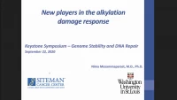 New Players in the Alkylation Damage Response icon