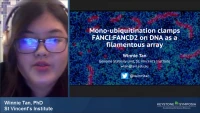 Short Talk: Mono-ubiquitination by the FA Core Complex Clamps FANCI:FANCD2 on DNA as a Filamentous Array icon