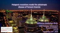Polygenic Mutations Model the Pleiotropic Disease of Fanconi Anemia icon