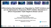 Differentiating Macrophages are Regulated by PARP Inhibitors and can be Harnessed to Overcome PARP-Inhibitor Resistance in BRCA-Associated Triple-Negative Breast Cancer icon