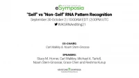 "Self" vs "Non-Self" RNA Pattern Recognition icon