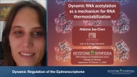 Short Talk: Dynamic RNA Acetylation as a Mechanism for RNA Thermostabilization icon