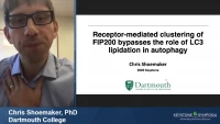Short Talk: Receptor‑Mediated Clustering of FIP200 Bypasses the Role of LC3 Lipidation in Autophagy icon