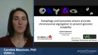 Short Talk: Autophagy and Lysosomal Degradation Ensure Accurate Chromosomal Segregation to Prevent Genomic Instability icon