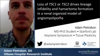 Short Talk: Loss of TSC1 or TSC2 Drives Lineage Infidelity and Hamartoma Formation in a Renal Organoid Model of Angiomyolipoma icon