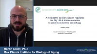 Autophagy and Cellular Aging icon