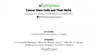 Cancer Stem Cells and Their Niche icon