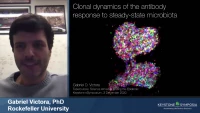 Clonal Dynamics of the Antibody Response icon