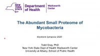 Short Talk: The Abundant Small Proteome of Mycobacterium tuberculosis icon