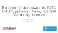 Short Talk: Functional Characterization of the Transcriptional Response to DNA Damage in Mycobacteria icon