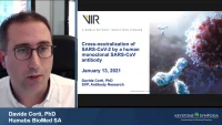 Cross‑Neutralization of SARS‑CoV‑2 by a Human Monoclonal SARS‑CoV Antibody icon