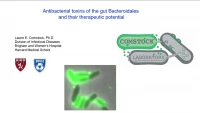 Antibacterial Toxins of the Gut Bacteroidales and Their Therapeutic Potential icon