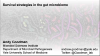 Survival Strategies in the Gut Microbiome icon