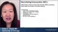 NEC and the Preterm Infant Microbiome icon