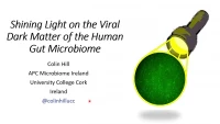 Shining Light on the Viral Dark Matter of the Human Gut Microbiome icon