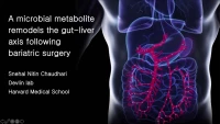 Short Talk: A Microbial Metabolite Remodels the Gut‑Liver Axis Following Bariatric Surgery icon