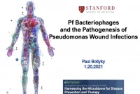 Pf Bacteriophages and the Pathogenesis of Pseudomonas Infections icon