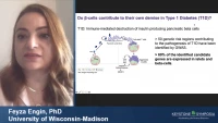 Short Talk: Targeting Beta Cell Unfolded Protein Response in Type 1 Diabetes icon
