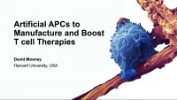 Artificial APCs to Manufacture and Boost T Cell Therapies icon