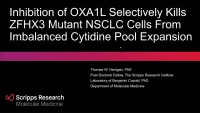Short Talk: Small Molecule Inhibition of OXA1L Selectively Kills ZFHX3 Mutant NSCLC from Imbalanced Cytidine Pool Expansion icon
