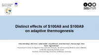 Short Talk: Distinctive Effects of Alarmins S100A8 and S100A9 on Adaptive Thermogenesis icon