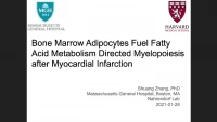 Short Talk: Bone Marrow Adipocytes Fuel Fatty Acid Metabolism Directed Myelopoiesis after Myocardial Infarction icon