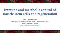 Stem Cell Metabolism and Muscle Regeneration icon