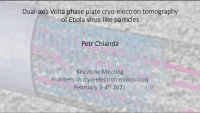 Short Talk: Dual‑Axis Volta Phase Plate Cryo‑Electron Tomography of Ebola Virus-Like Particles icon