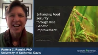 Enhancing Food Security through Rice Genetic Improvement icon