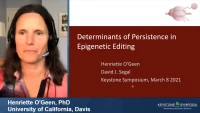 Short Talk: Determinants of Persistence in Epigenetic Editing icon