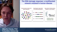 Short Talk: Functional Interrogation of DNA Damage Response Variants with Base Editing Screens icon