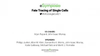 Fate Tracing of Single Cells icon