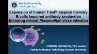 Short Talk: Expansion of Human T-bethi Atypical Memory B Cells Impaired Antibody Production Following Natural Plasmodium vivax Infection icon