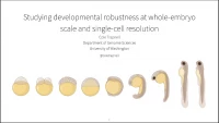 Studying developmental robustness at whole-embryo scale and single-cell resolution icon