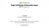 Single Cell Biology of Mammalian Organs icon