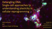 Short Talk: Detangling DNA: Single-Cell Approaches to Understanding Plasticity in Cellular Reprogramming icon