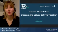 Short Talk: Impaired Differentiation: Understanding a Single Cell State Transition icon