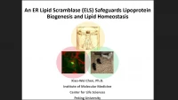 Short Talk: An ER Lipid Scramblase (ELS) Safeguards Lipoprotein Biogenesis and Lipid Homeostasis icon