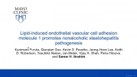 Short Talk: Lipid-Induced Endothelial Vascular Cell Adhesion Molecule 1 Promotes Nonalcoholic Steatohepatitis Pathogenesis icon