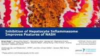 Short Talk: Inhibition of Hepatocyte Inflammasome Improves Features of NASH in foz/foz Mice icon