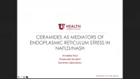 Short Talk: Ceramides as Mediators of Endoplasmic Reticulum Stress in NASH icon