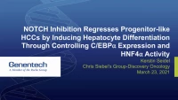 Short Talk: Notch Inhibition Regresses Progenitor-Like HCCs by Inducing Hepatocyte Differentiation through Controlling C/EBPα Expression and HNF4α Activity icon