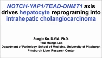 Short Talk: NOTCH-YAP1/TEAD-DNMT1 Axis Drives Hepatocyte Reprogramming into Intrahepatic Cholangiocarcinoma icon