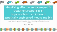 Short Talk: Identifying Effective Subtype-Specific Treatment Responses in Hepatocellular Carcinoma in Genetically Engineered Mouse Models icon