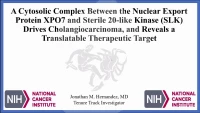 Short Talk: A Cytosolic Complex Between the Nuclear Export Protein XPO7 and Sterile 20-like Kinase (SLK) Drives Cholangiocarcinoma, and Reveals a Translatable Therapeutic Target icon