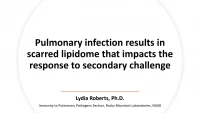 Short Talk: Pulmonary Infection Results in Scarred Lipidome that Impacts the Response to Secondary Challenge icon