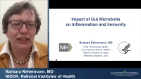Impact of Gut Microbiota on Inflammation and Immunity icon