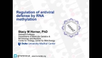 Regulation of Anti-Viral Defense through RNA Methylation icon